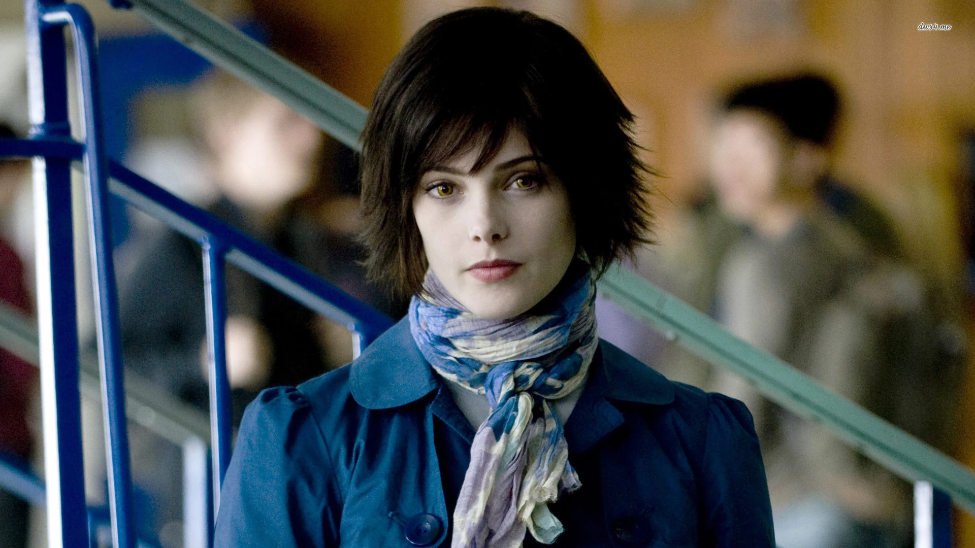 alice cullen cabelo