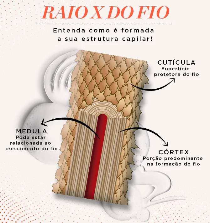 anatomia do fio de cabelo