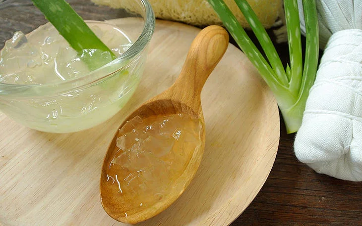 Babosa no Couro Cabeludo: Mitos e Verdades