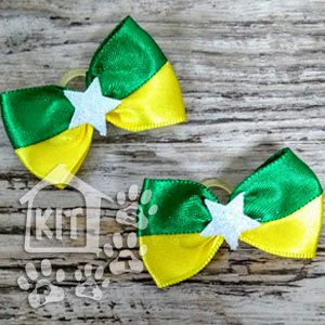 penteados para desfile 7 de setembro