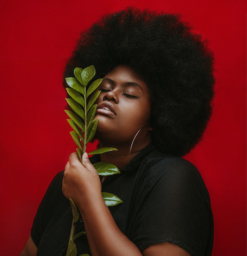 inspiração de penteados black power para todos os dias