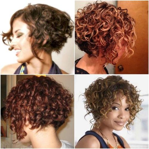 cabelo curto cacheado rosto redondo