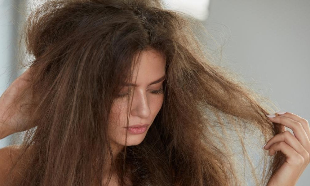 5 ideias de títulos:
1. Cabelo Frisado: O Guia Completo para Ondas Perfeitas
2. Frizz Nunca Mais: Dicas Infalíveis para um Cabelo Liso e Sedoso
3. Texturização Natural: Conquiste o Efeito Frisado sem Calor
4. Cronograma Capilar: O Segredo para Cabelos Saudáveis e Sem Frizz
5. Fronha de Cetim: O Aliado Inesperado Contra o Frizz