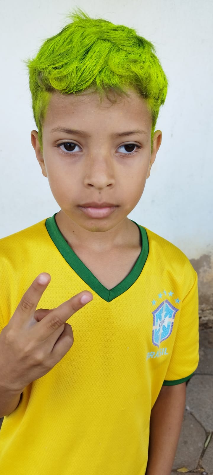 Materiais Essenciais para o Dia do Cabelo Maluco: Guia Completo