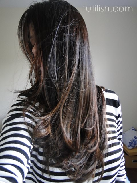 cabelos castanhos com luzes