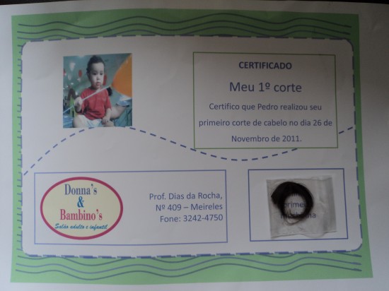 Guia Completo: Como Obter o Certificado do Primeiro Corte de Cabelo do Seu Bebê