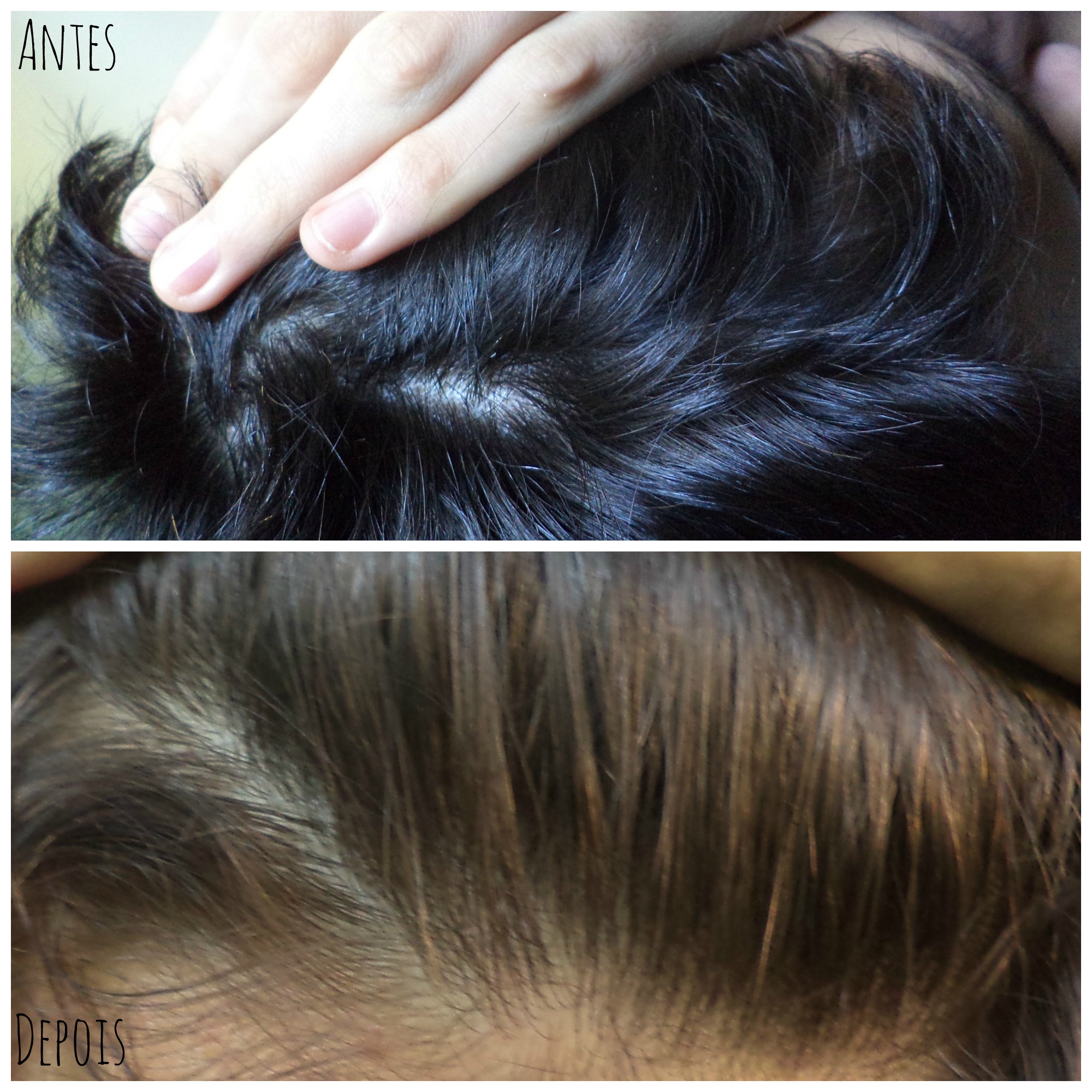 Mitos e Verdades sobre a Camomila para Clareamento Capilar