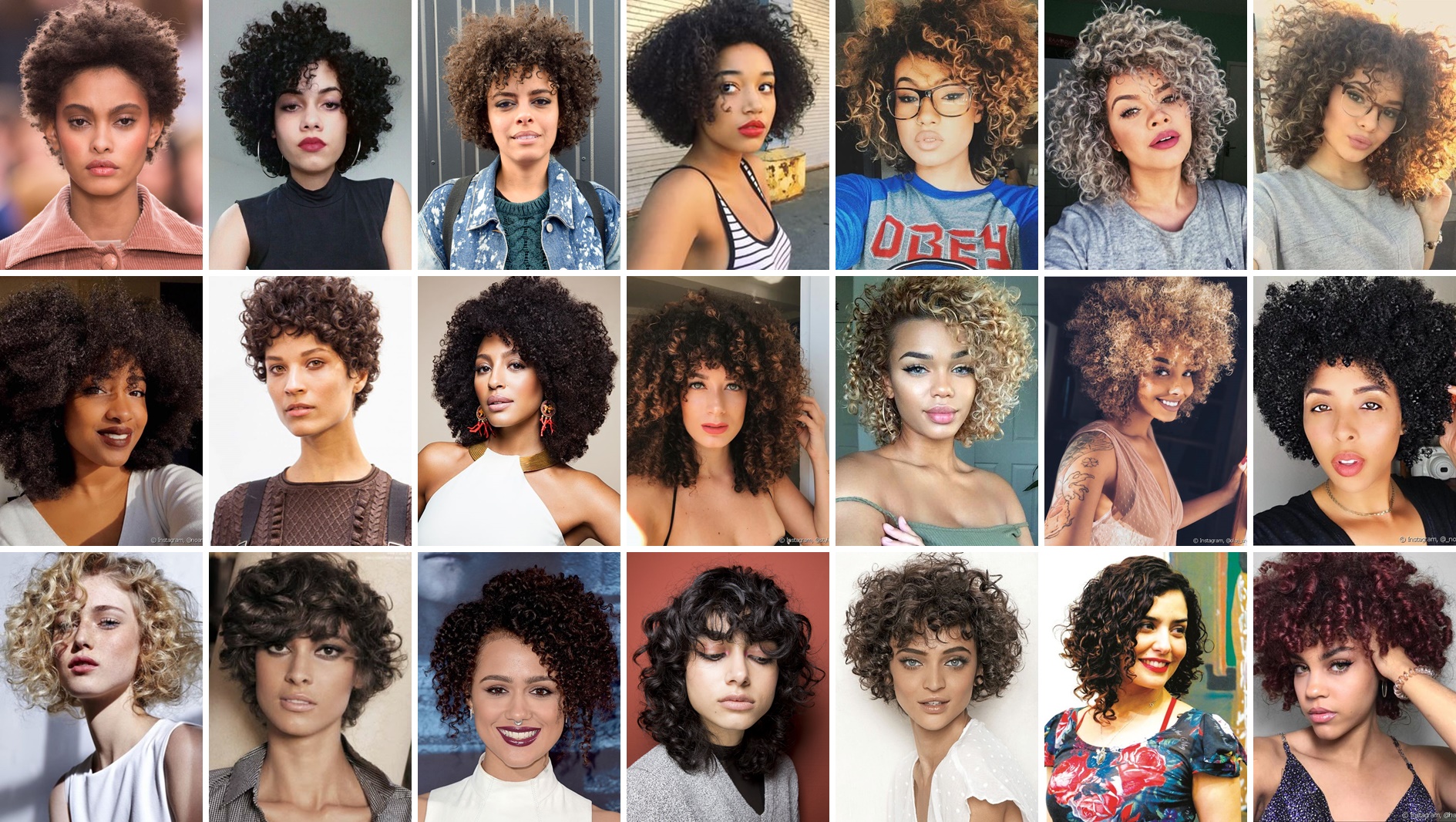 Guia completo: Como escolher o corte curto cacheado ideal para seu tipo de cacho