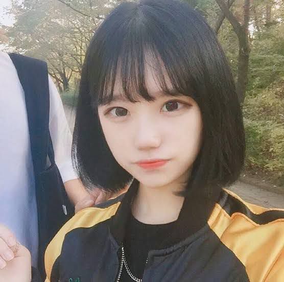 Corte De Cabelo Feminino Coreano