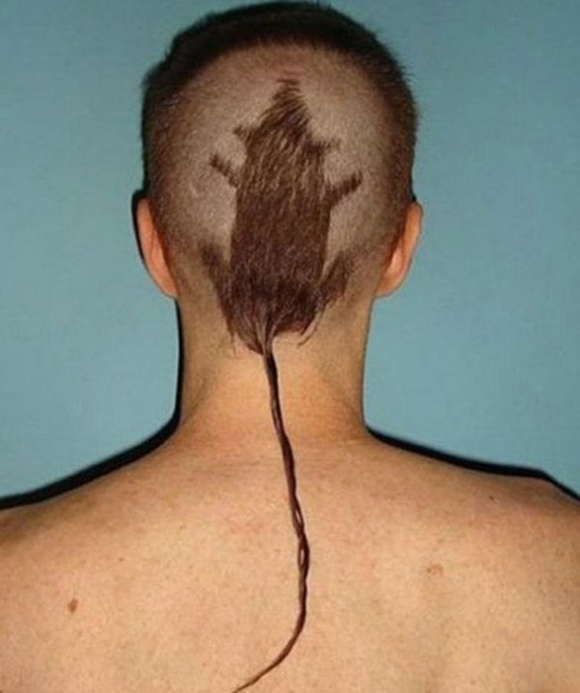 Como Identificar e Corrigir um Corte de Cabelo Mal Executado; O Visagismo e a Escolha do Corte Ideal para Seu Rosto; Guia Completo para Manter Seu Corte de Cabelo Impecável e Sem Frizz; Cortes de Cabelo que Devem Ser Evitados: Estilos Datados e Polêmicos; Soluções Rápidas para um Corte de Cabelo que Deu Errado