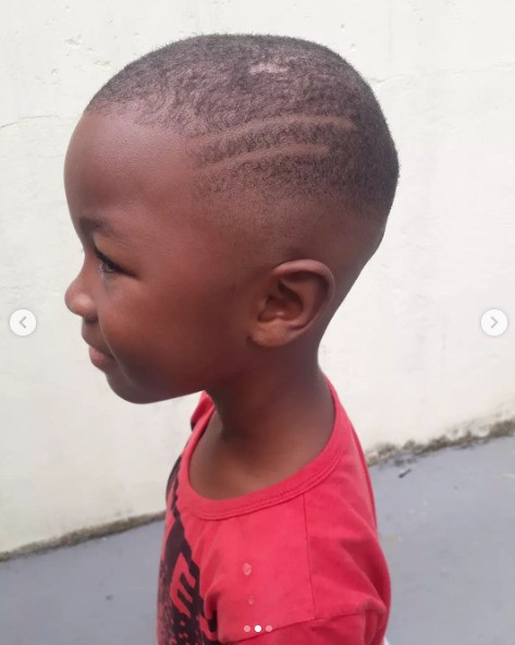 Jaca Curtinho vs. Jaca com Pigmentação: Qual o Melhor para Você?