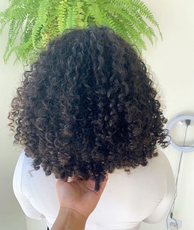 Corte a Seco vs. Corte Molhado: Qual o Melhor para Cachos?