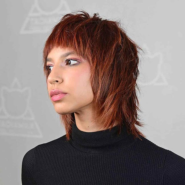 corte de cabelo wolf cut cacheado