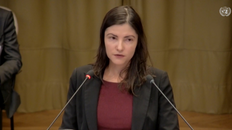 Os Crimes Julgados pelo Tribunal Penal Internacional: Genocídio, Guerra e Humanidade