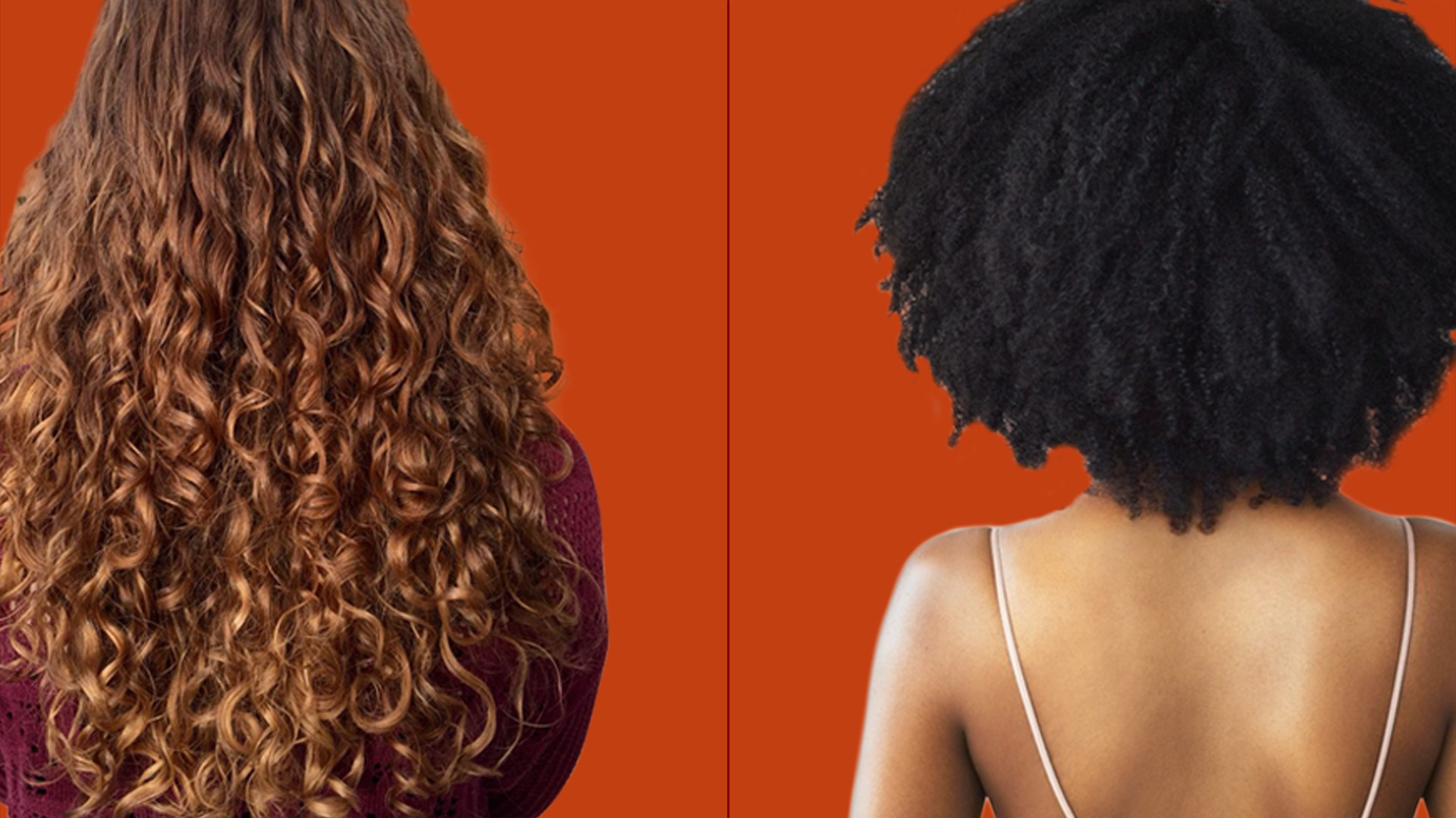 diferença cabelo crespo e cacheado