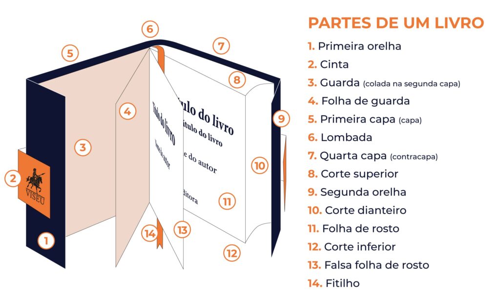 Catágena e Telógena. 3. Anatomia Detalhada do Folículo Piloso: A Fábrica do Seu Cabelo. 4. Bulbo Piloso e Papila Dérmica: Os Segredos Nutricionais do Crescimento Capilar. 5. Glândula Sebácea e Músculo Eretor: Funções Essenciais para o Pelo.