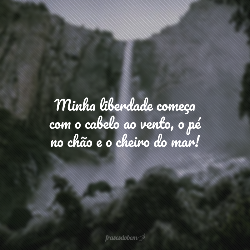 Além da estética: frases sobre cabelo e bem-estar