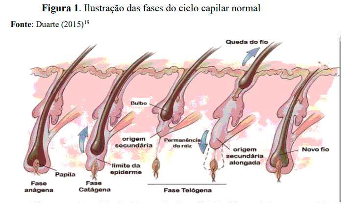 Microagulhamento capilar com drug delivery valor