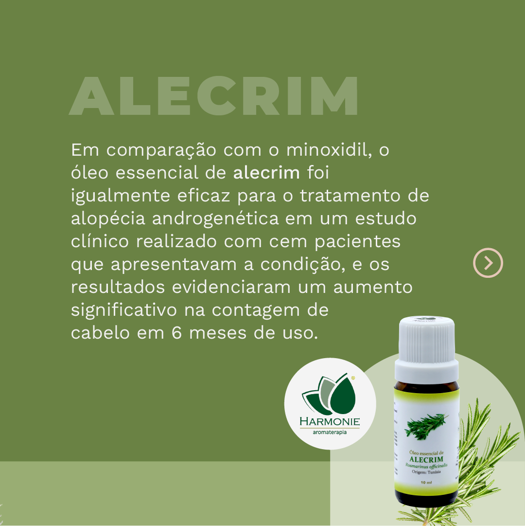 Receita Caseira de Óleo de Alecrim para Cabelo: Guia Completo