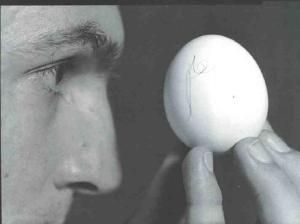 Ovo no Cabelo: Mitos e Verdades sobre o Tratamento Caseiro