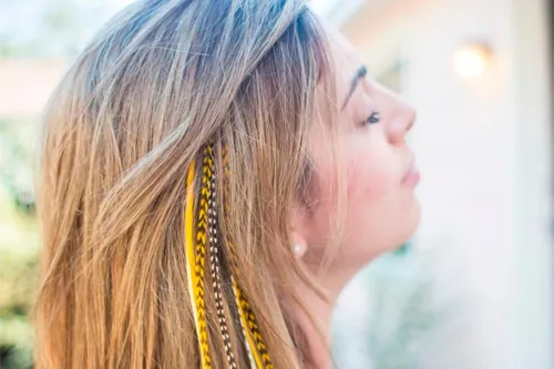 O Significado Cultural das Penas no Cabelo ao Redor do Mundo