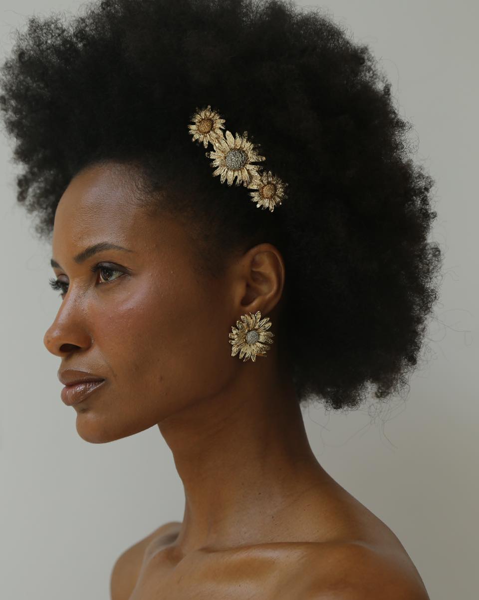 Guia Completo das Piranhas de Cabelo: Do Básico ao Maximalista