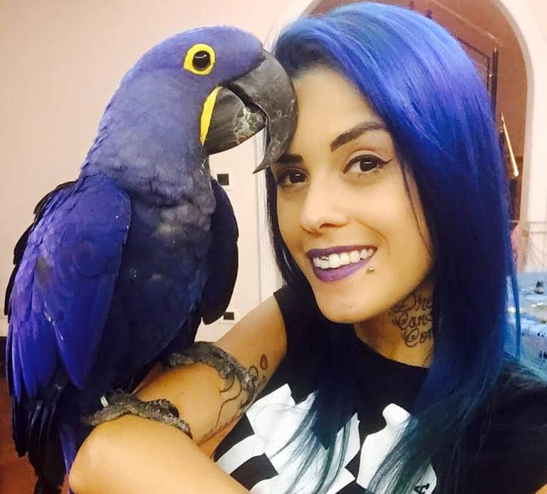Tati Zaqui: Do Cabelo Azul ao Gospel, a Evolução de um Ícone